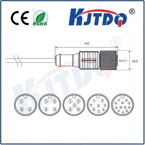 M12連接器 A型-澆鑄電纜系列 直頭